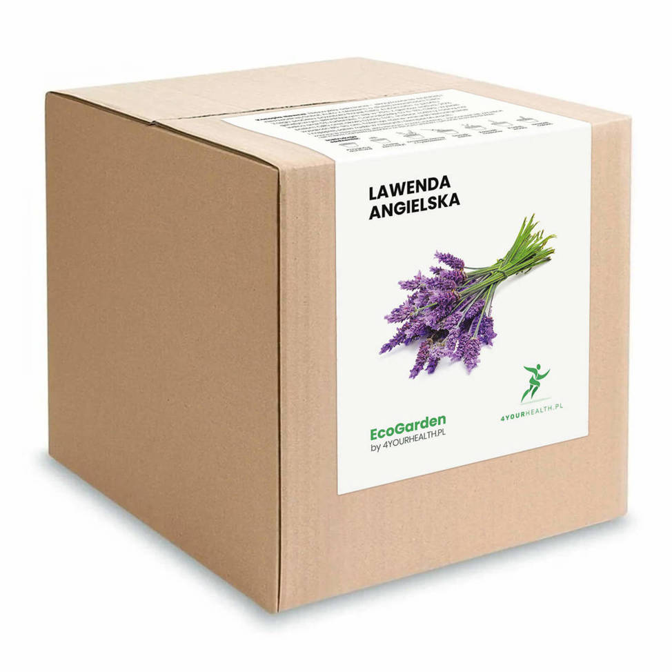 Kit für den Anbau - Englischer Lavendel
